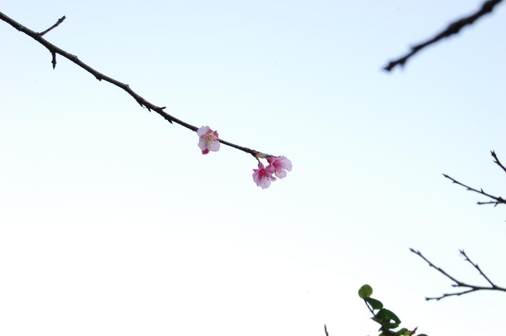 Yukurinaresort Okinawa Garden House Motobu Luaran gambar