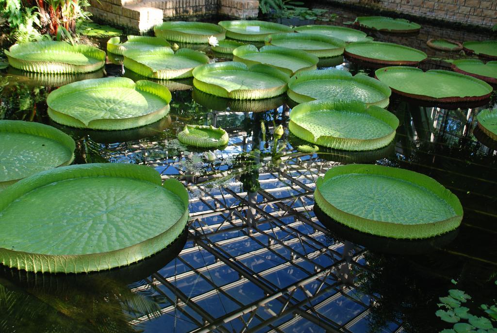 Yukurinaresort Okinawa Garden House Motobu Luaran gambar