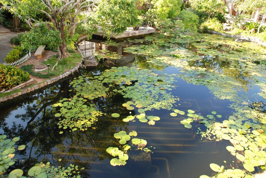 Yukurinaresort Okinawa Garden House Motobu Luaran gambar